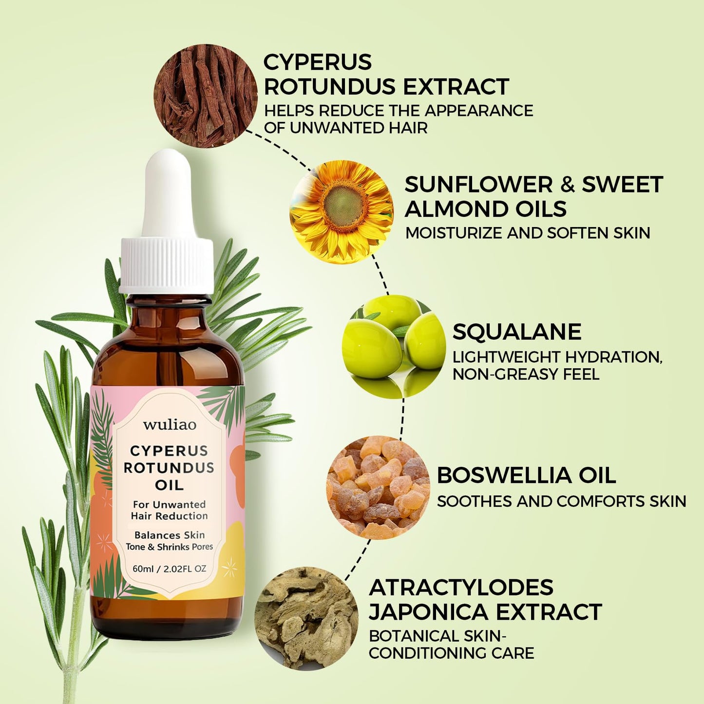 Cyperus Rotundus Oil for Hair Removal - Organic Cold-Pressed Formula to Help Reduce the Appearance of Unwanted Hair, Moisturizing & Soothing Body Oil, Gentle for Sensitive Skin, 60ml (2)