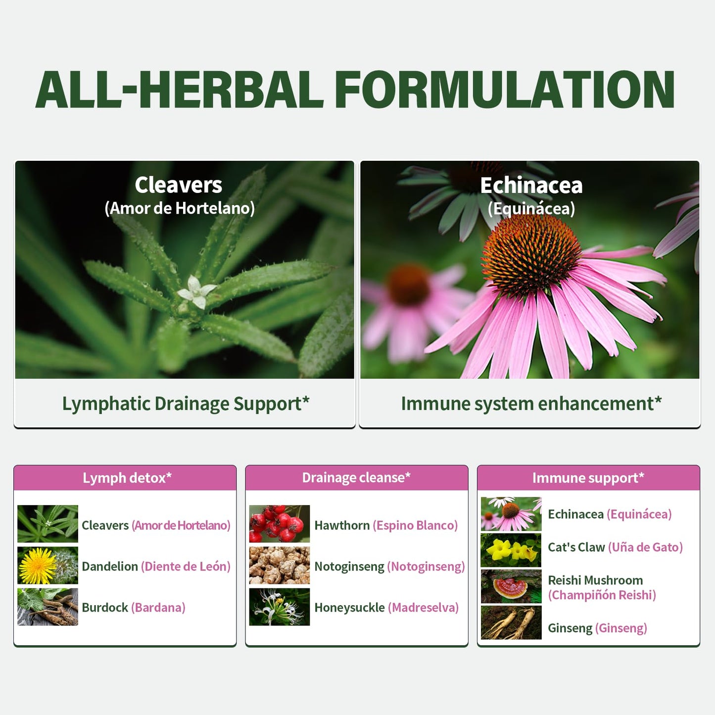 Nabouherb Cleavers Herb Extract Lymphatic Drainage Drops, Herbal Lymph System Support with Echinacea & Cat’s Claw, Botanical Liquid Formula for Immune Support and Daily Wellness Routines, 2 oz