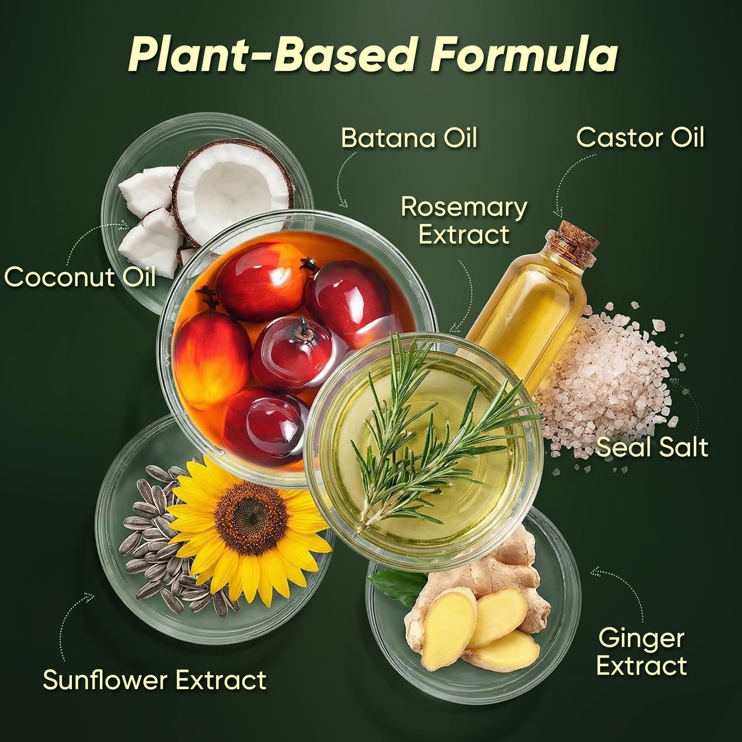 Batana Oil Shampoo for Hair Growth, Rosemary Shampoo Oil for Scalp Health, Reduces Hair Loss & Nourishes Scalp, Delivering Softness & Lasting Volume, Repairs Hair Damage for Men & Women 10.58 fl.oz