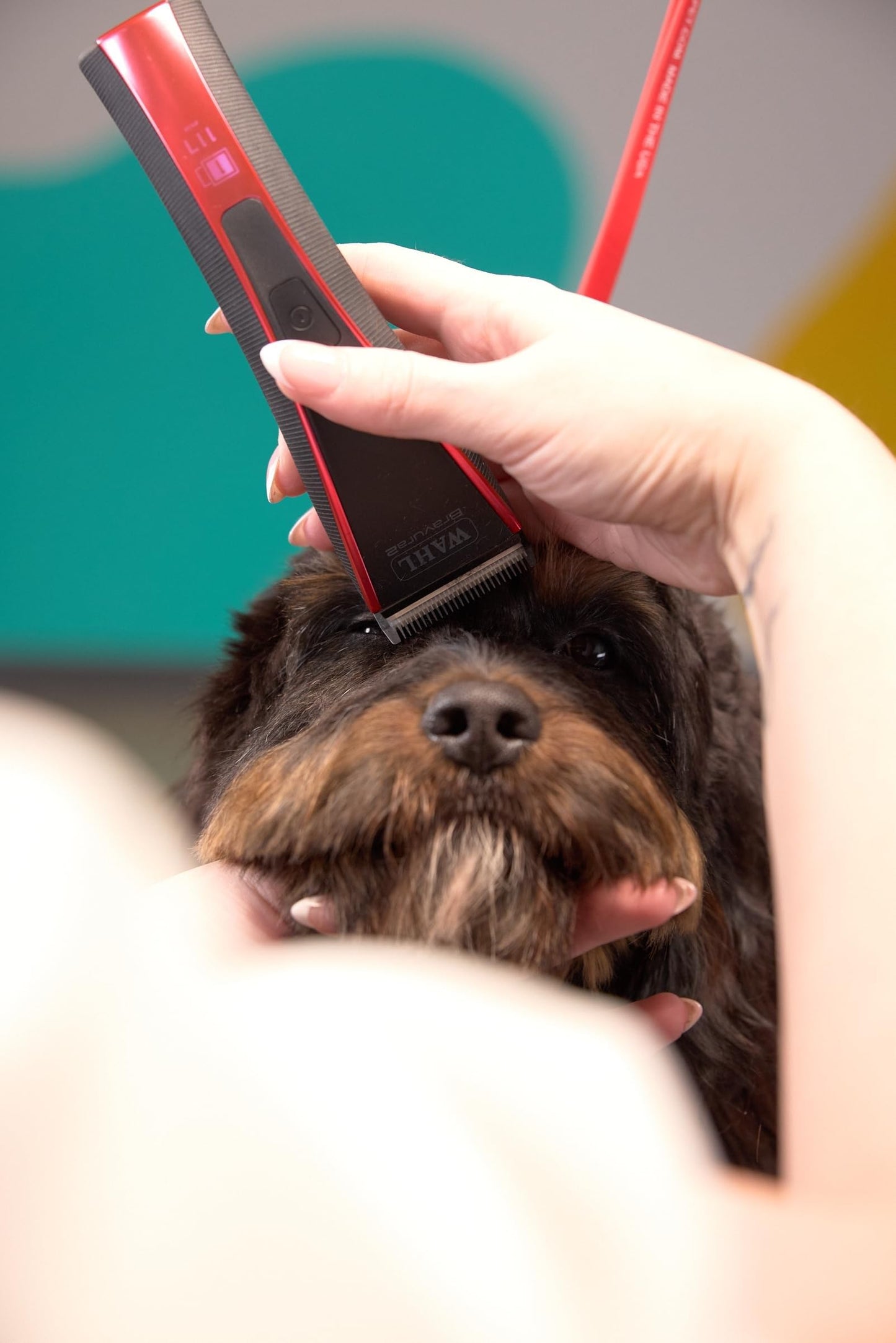 Wahl Pro Animal Bravura2 - Cordless Professional Pet Clipper for Dogs, Cats & Horses - Multi-Speed - Durable & Easy to Carry - USB Charging - Travel-Friendly - Comfortable Grip - Brilliant Rose