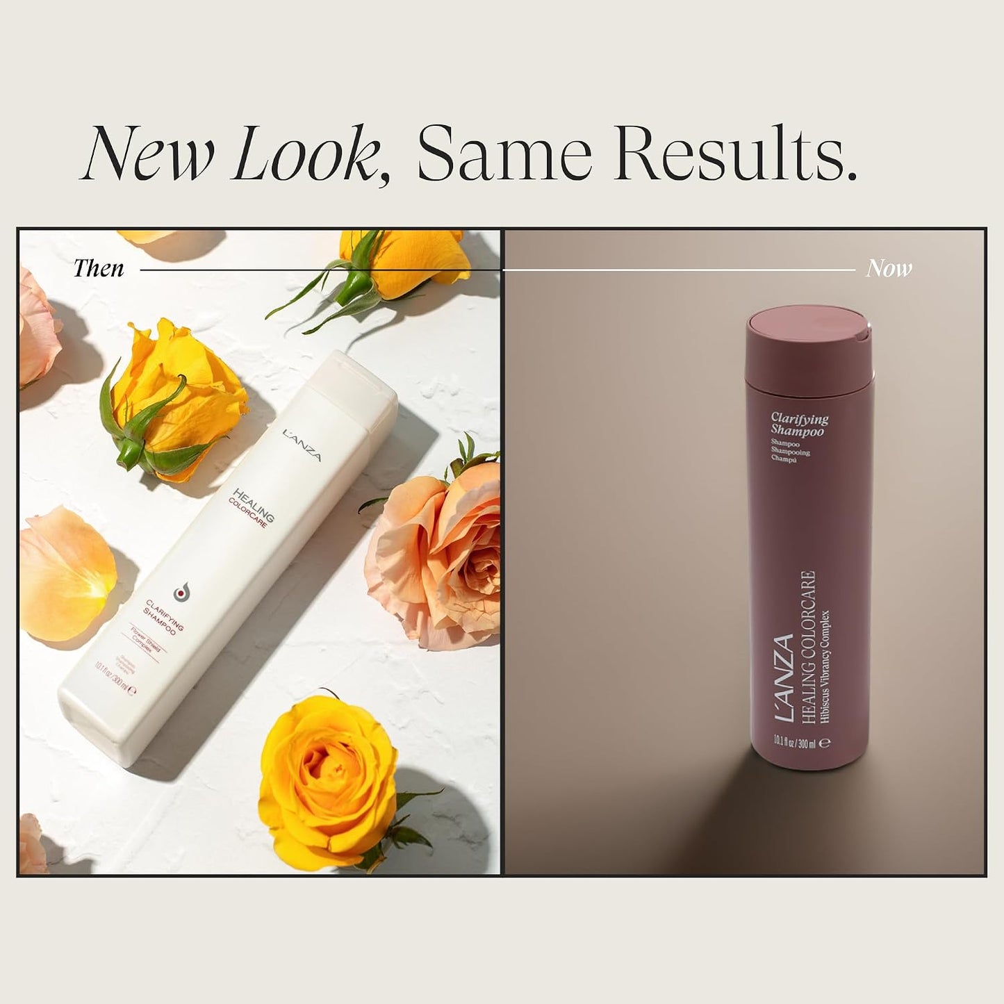 L'ANZA Healing Colorcare Shampoo | Purifying, Moisturizing Formula for Softness & Shine - Sulfate Free