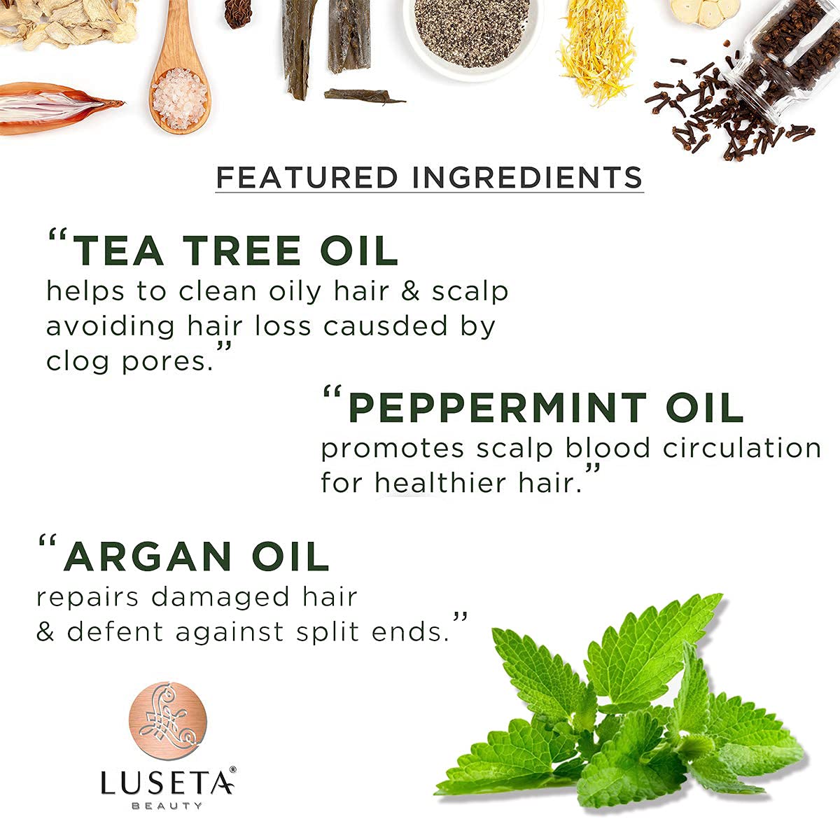Luseta Tea Tree & Mint Cleansing and Soothing Shampoo 16.9 Oz