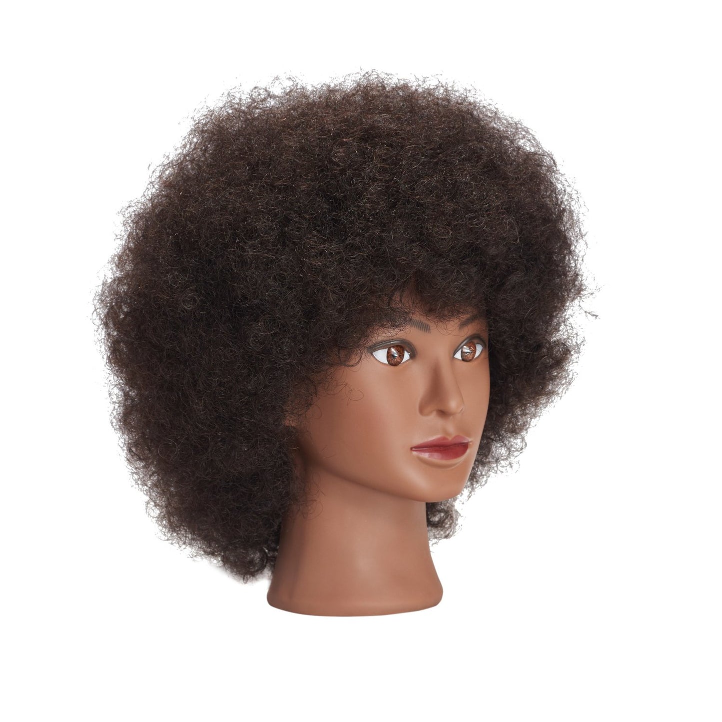 Real Hair Mannequin Head for Cosmetology | 10-Inch Afro Hair Practice Doll with Clamp Holder