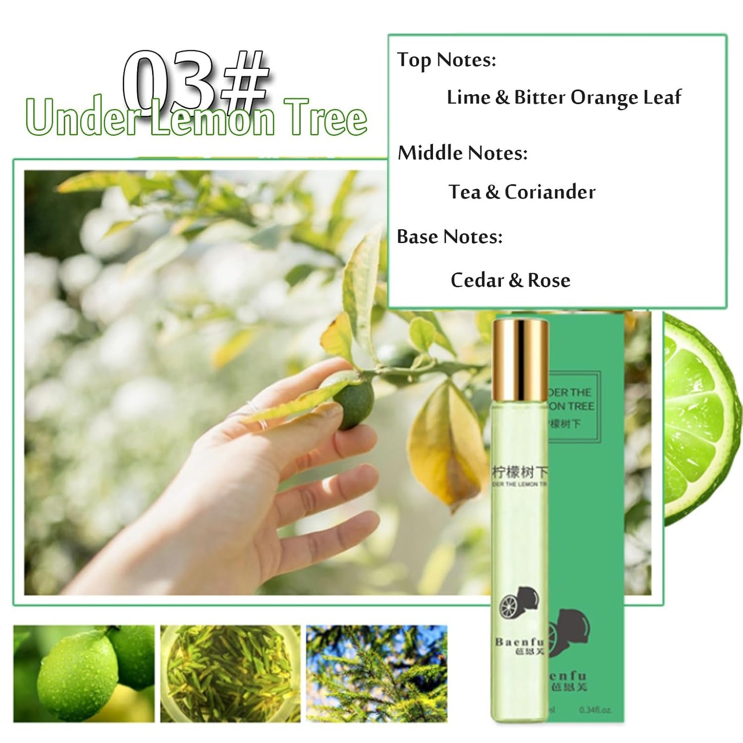 4PCS Eau de Parfum Roll-On Perfume Oils | Fresh Flower & Fruit Fragrances - 10 ml Each for Men & Women