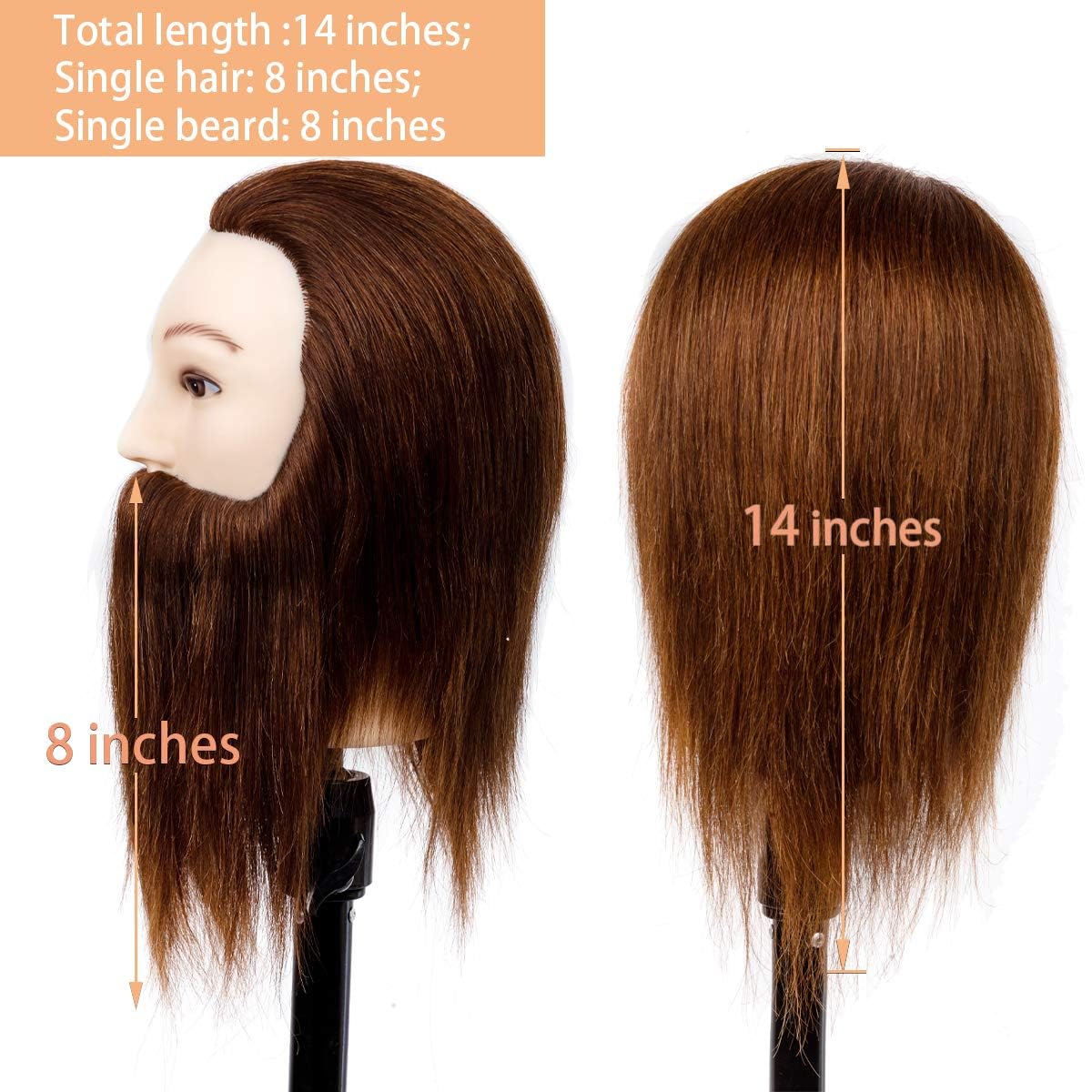 Male Mannequin Head - 14” Barber Training Head with 100% Human Hair | Dark Brown Hairdresser Manikin for Styling Practice