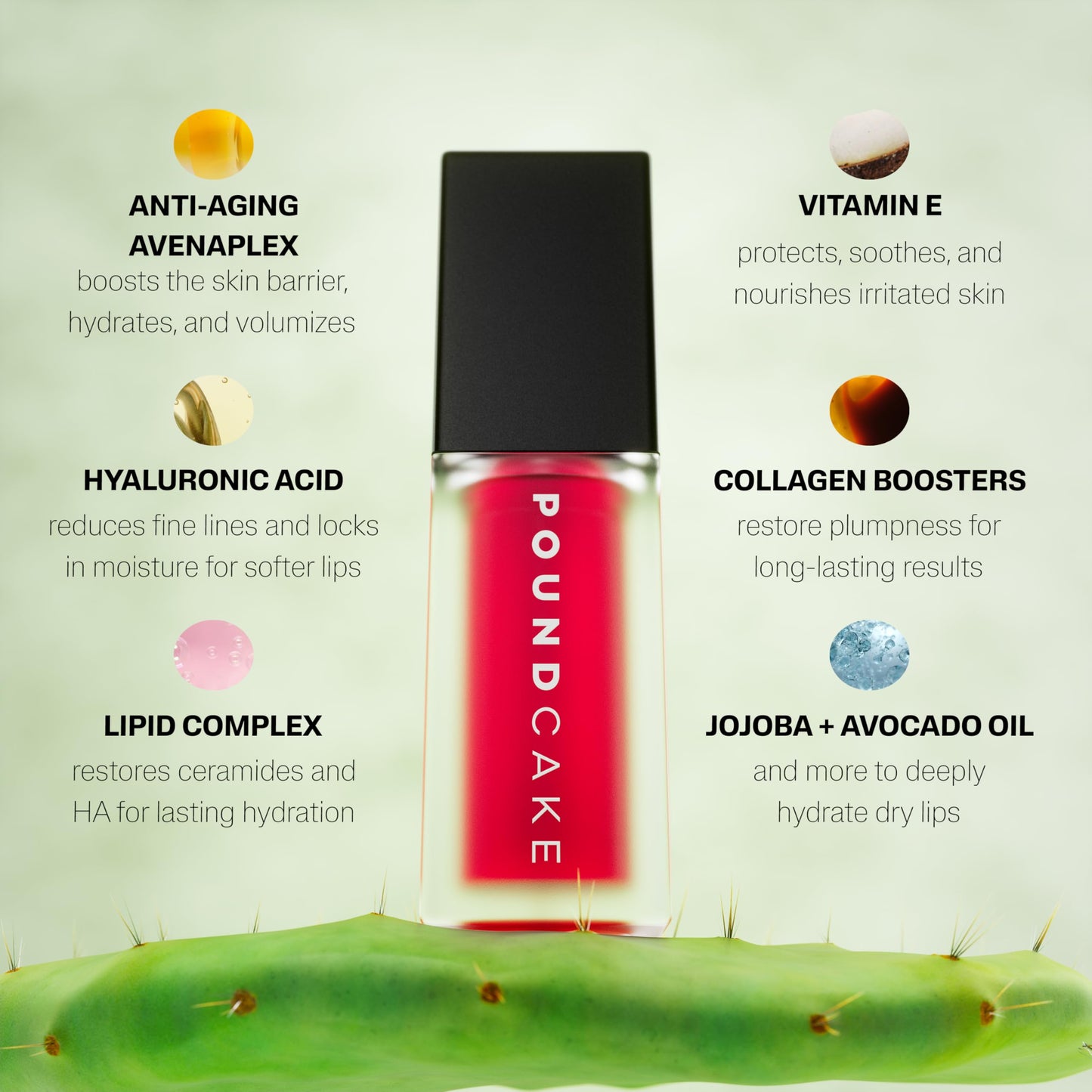 POUND CAKE Cake Theory Plumping Lip Oil | Hydrating & Moisturizing Lip Oil Balm, Lip Gloss, and Pink Lip Mask with Hyaluronic Acid | Clean, Vegan Formula | Lip Plumper Treatment | 0.23 oz, Cactus Jam