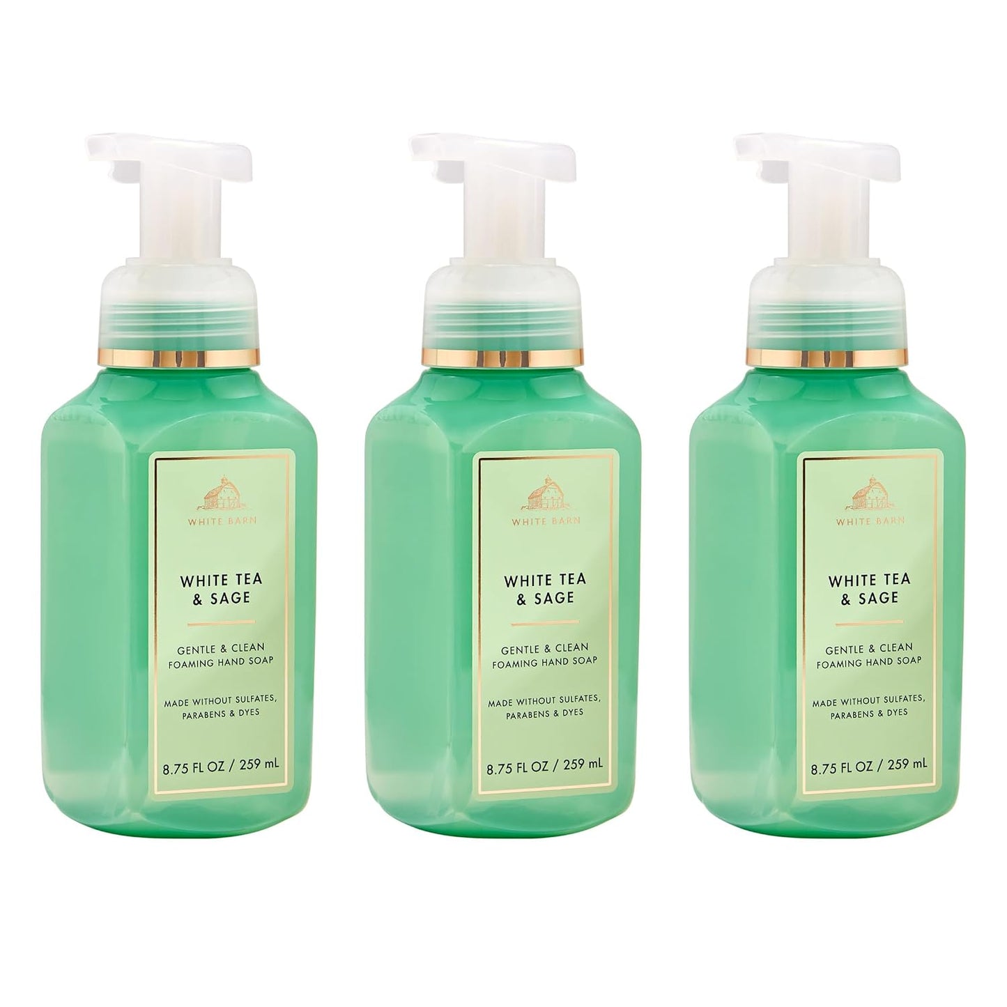 Gentle Foaming Hand Soap - White Tea & Sage, Germ-Cleansing Formula | 3-Pack