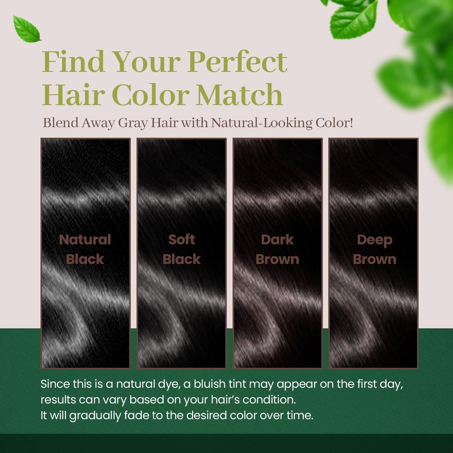 Dark Brown Hair Color Cream & Gray Cover Tint - PPD-Free, Ammonia-Free, Vegan Dye | Gentle for Sensitive Scalp