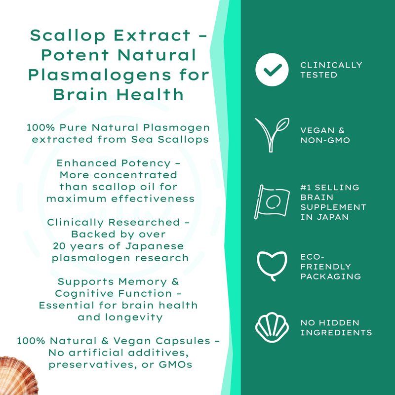 MemoryUP! Sea Scallop-Derived Plasmalogen Supplement for Brain & Cognitive Support, Memory, Focus and Antioxidant Neuro-Support, Ideal for Seniors, Adult Men & Women, 60 Count