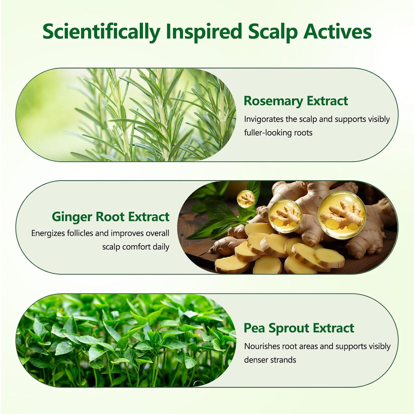 Hair Growth Serum Roll-On - Strengthens Roots & Reduces Shedding | 3% Rosemary, 2% Ginger, 0.85 Fl Oz (Pack of 2)