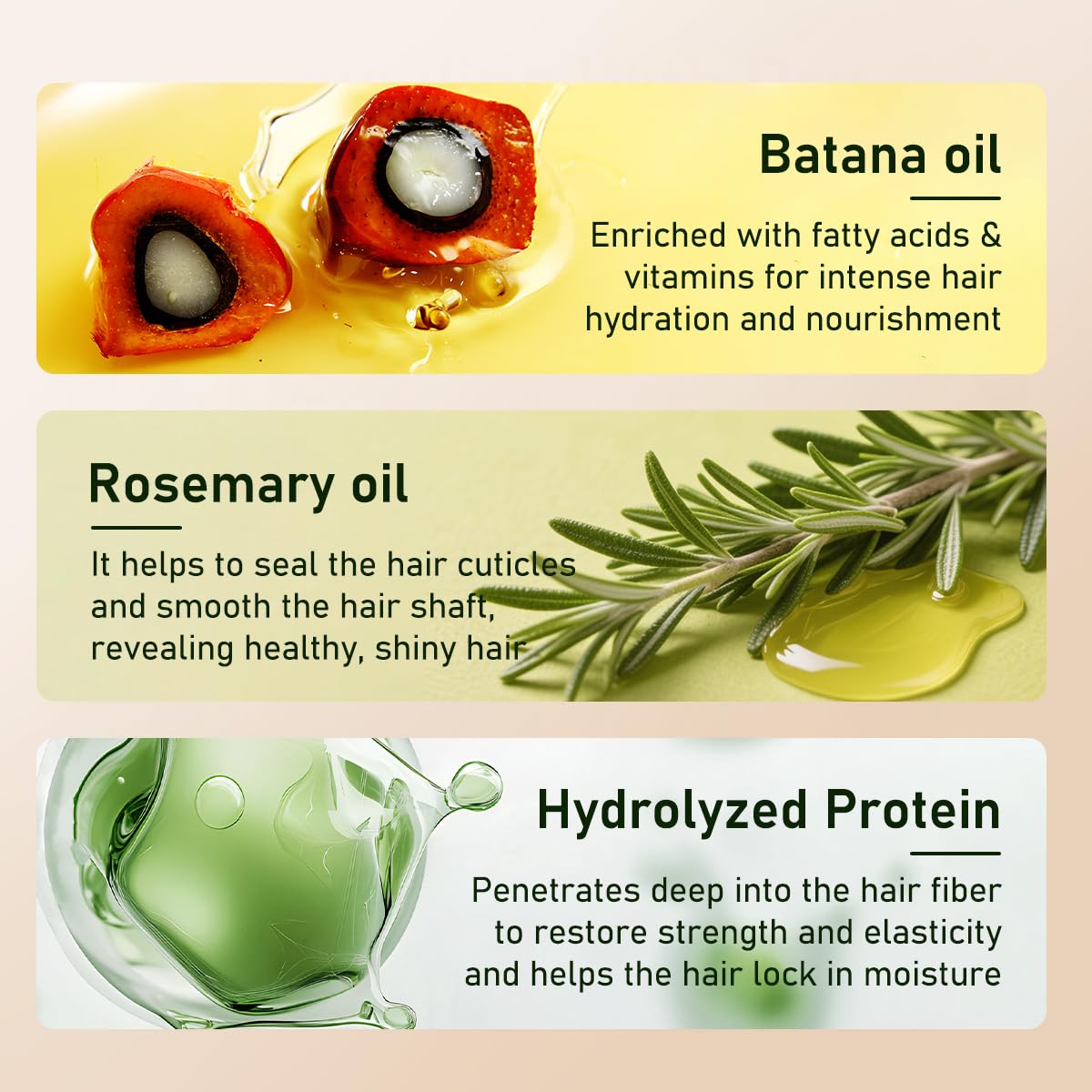 Gypsophila Batana Oil Conditioner with Keratin,Rosemary Leaf Oil (10.14 fl oz),Repairs Frizzy Hair,Strengthens Weak Hair for Women and Men to Repair Split Ends