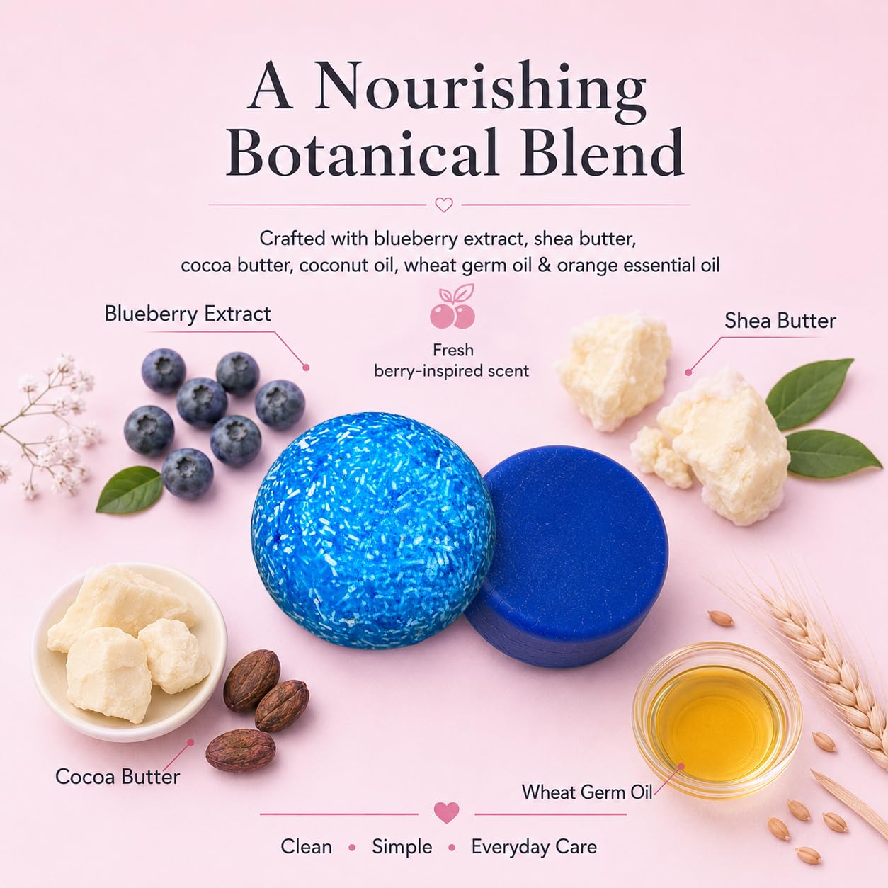 Blueberry Field Shampoo and Conditioner Bar Set, Solid Shampoo and Conditioner Bars for Women, Blueberry Scent Hair Care Bars, Moisturizing Bar Shampoo for Dry Frizzy Hair, Travel Friendly