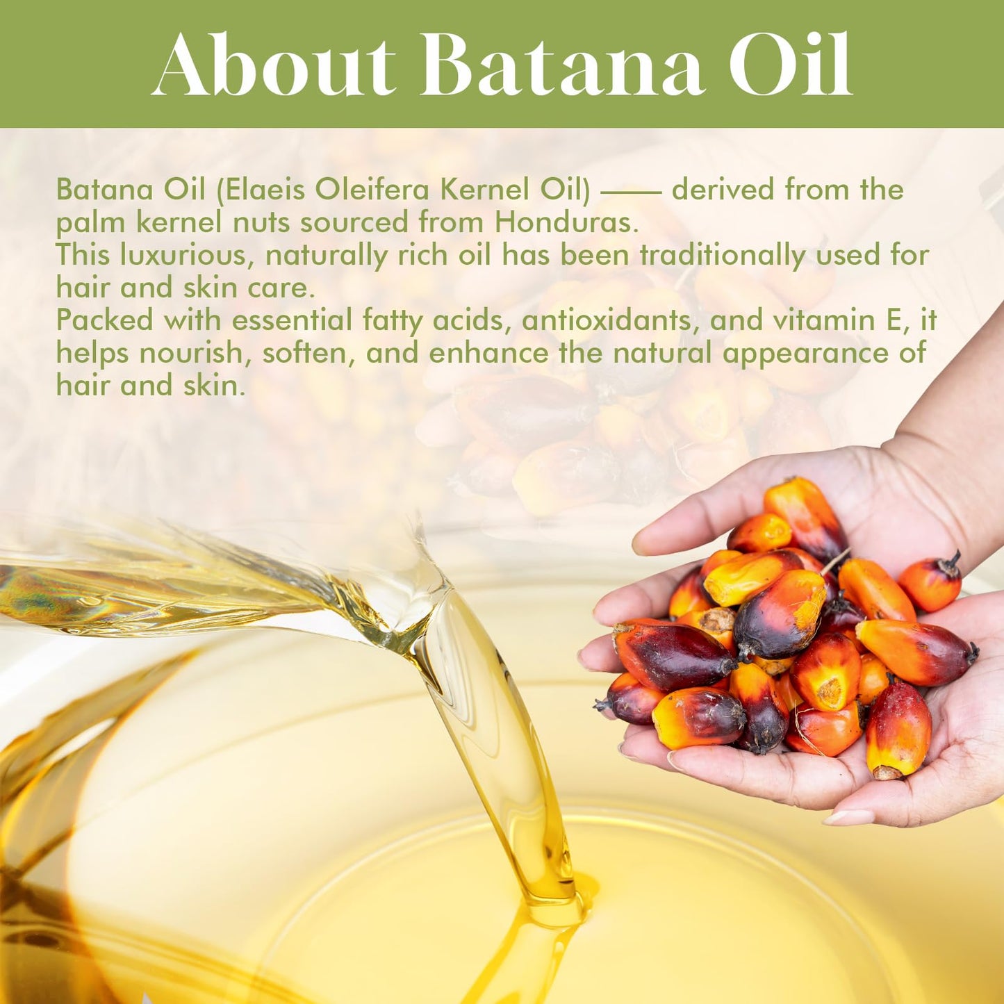 Dolahair Batana Oil for Hair Growth Organics Pure Batana Hair Oil 100% Natural Batana Oil Nourishes Damaged Hair Natural Hair Growth Oil and Conditioner Batana Hair Oil 2.02 Fl Oz