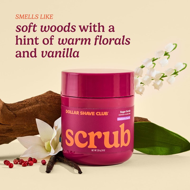 Dollar Shave Club For Women | 2 Pack Sugar Scrub (8 oz), Cashmere Santal Scent | Skin Exfoliant, Body Scrub, Womens Shave
