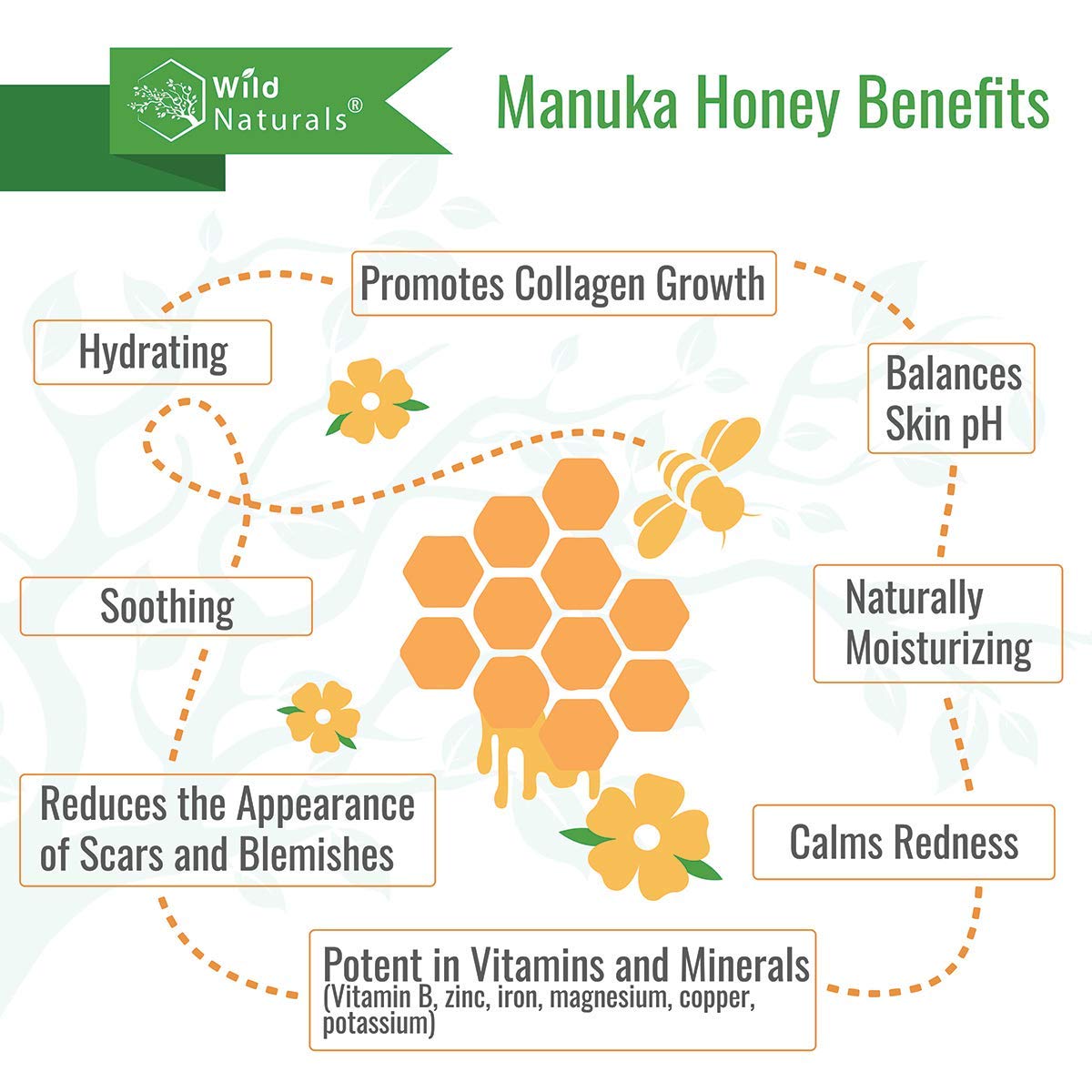 Natural Hydrating Conditioner - Sulfate-Free Dandruff Relief with Aloe Vera & Manuka Honey | Ideal for Oily & Curly Hair