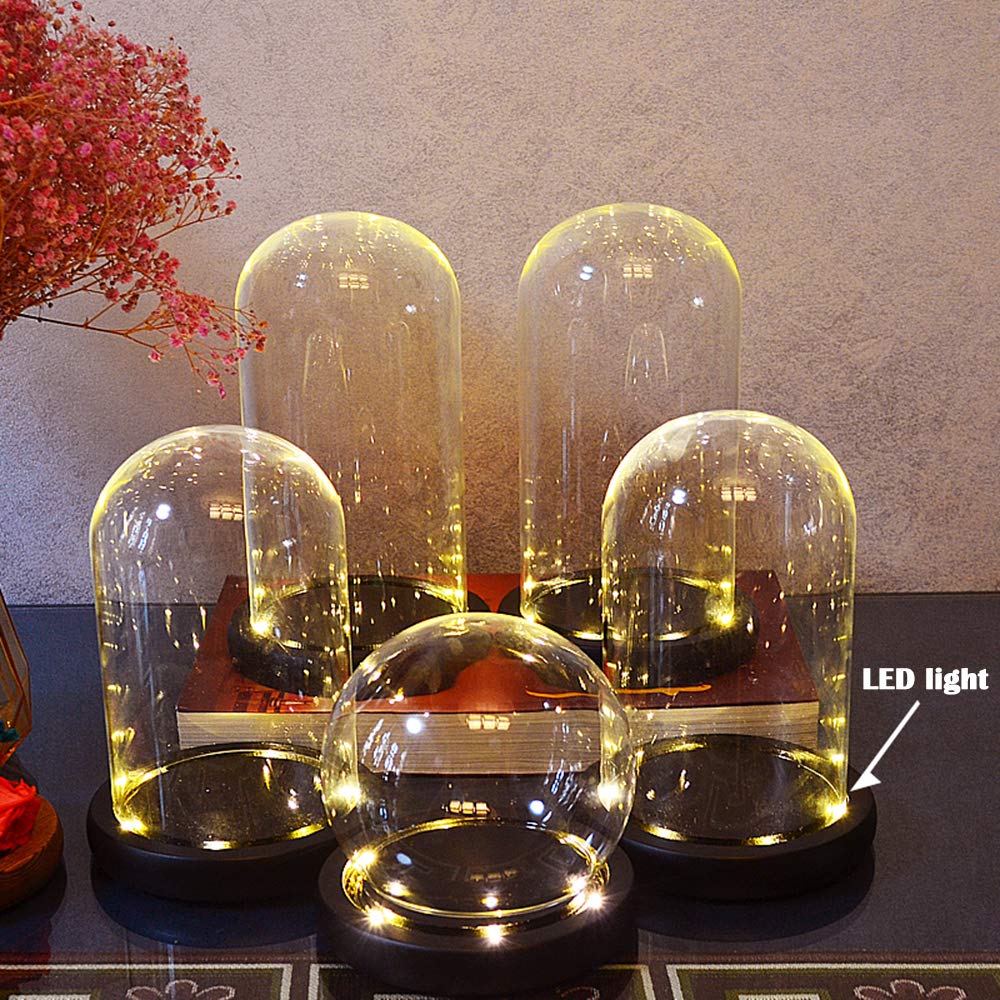 Nynelly 3.54" D X 4.33" H Clear Glass Dome Cloche with Black LED Lights Base,Glass Display Bell Jar Ornament