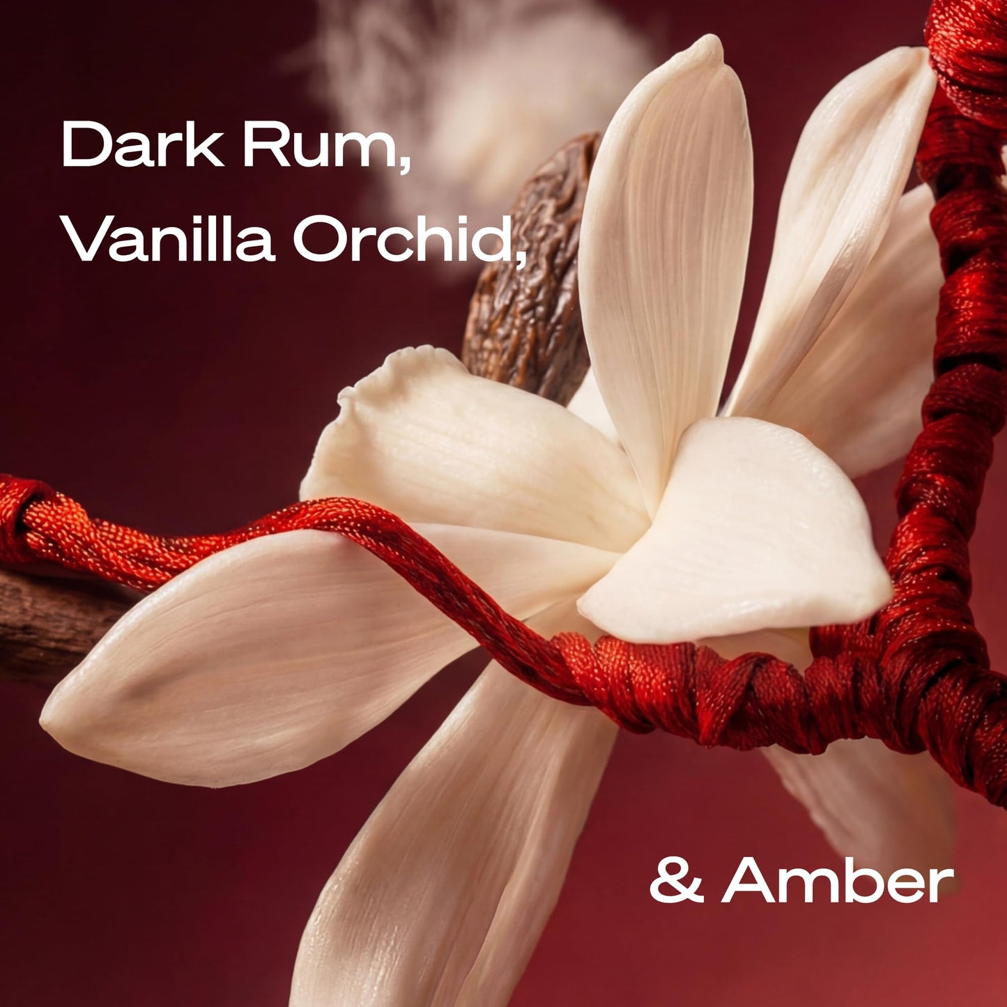 STRING THEORY x Off Campus - Hannah - Women's Pheromone Roll On Perfume Oil - Spicy & Sweet Vanilla Amber Boozy Gourmand Musk - Dark Rum, Vanilla, Tonka Bean - Lasts 3 Hrs Long - Phero-Mimetic Perfume