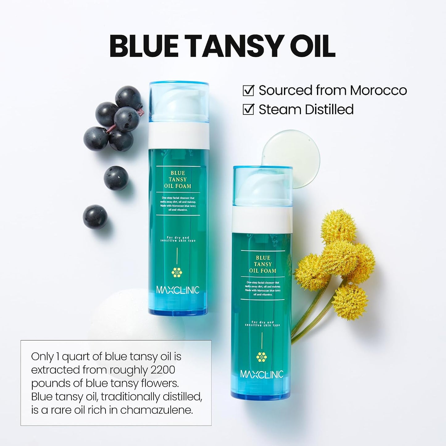 Blue Tansy Oil Foaming Facial Cleanser - Oil Control & Deep Cleansing for Oily Skin | 3.88 fl oz