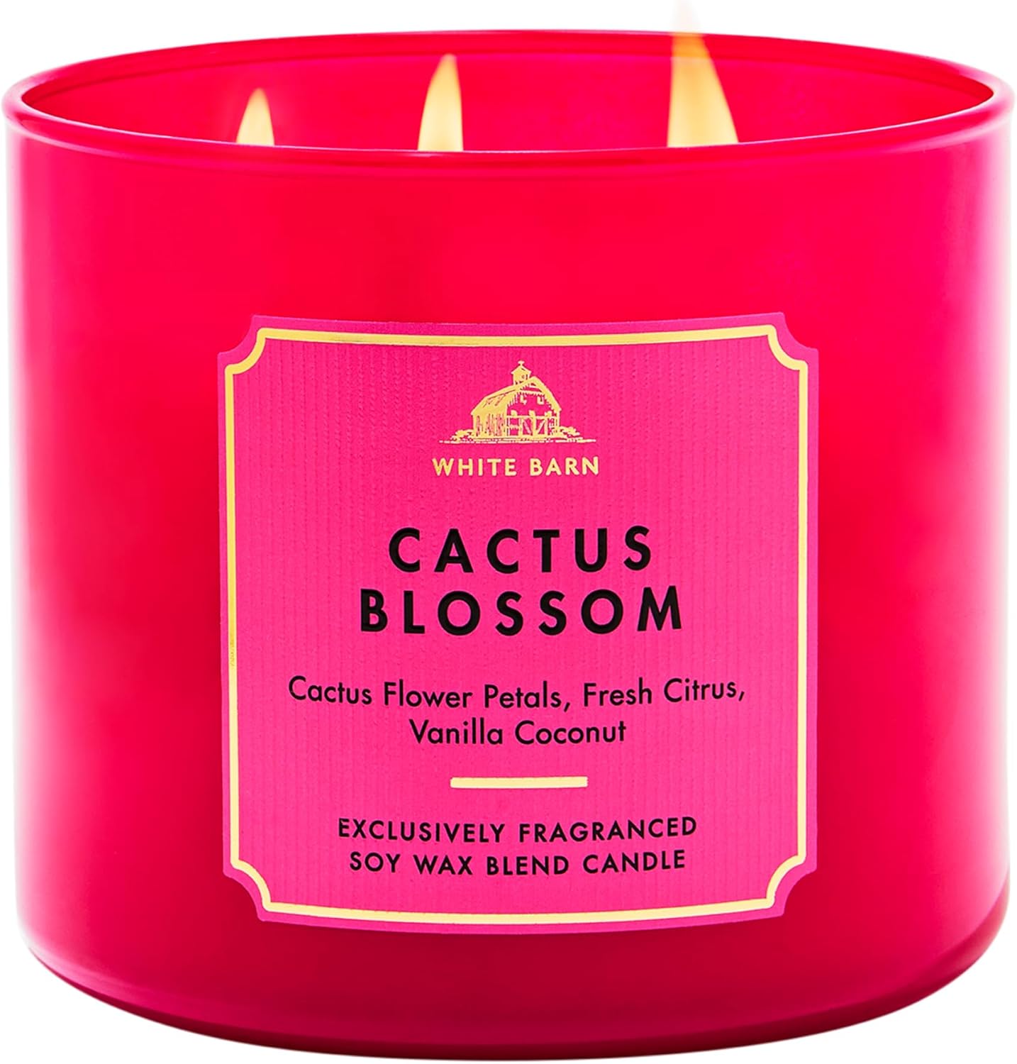 Moonlit Goddess Candle - 3-Wick Strong Throw Soy Wax Blend | Long-Lasting Burn Up to 45 Hours - 14.5 oz