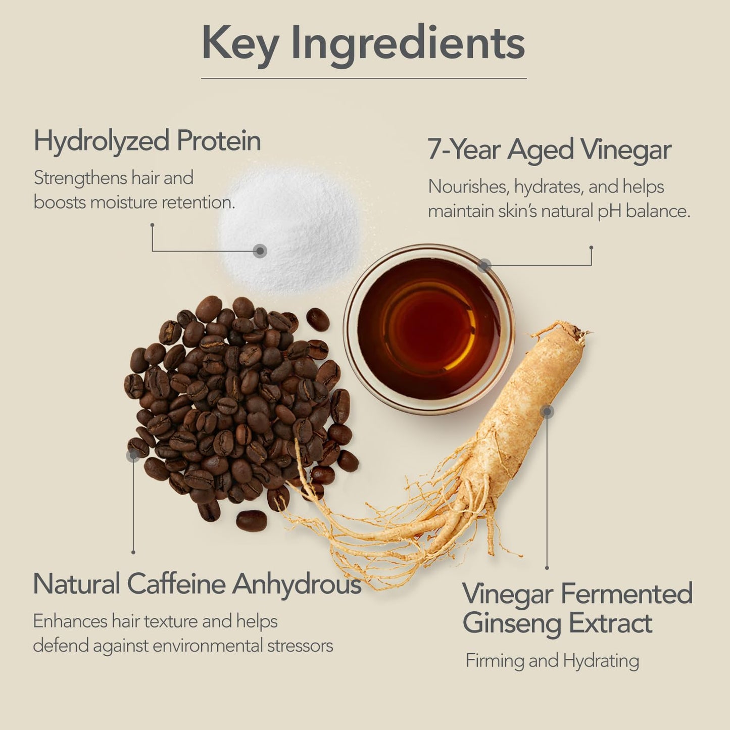 Hydrating Scalp Treatment - Microbiome Formula with Ginseng, Caffeine & Biotin | 6.08 fl oz