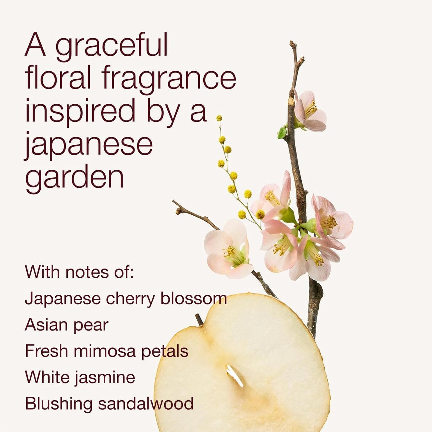 Japanese Cherry Blossom Body Wash - Nourishing Cleanser with Pro-Vitamin B5 & Aloe | Gentle Daily Use, 10 fl oz - 2 Pack