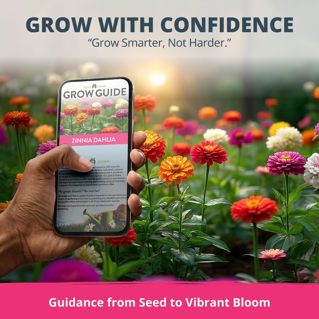Zinnia Dahlia Seeds Pack - Non-GMO 524 Flower Seeds for Vibrant Pollinator Gardens | Easy-to-Grow Outdoor Blooms