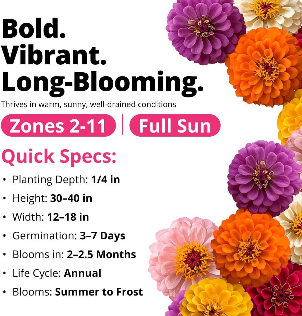 Zinnia Dahlia Seeds Pack - Non-GMO 524 Flower Seeds for Vibrant Pollinator Gardens | Easy-to-Grow Outdoor Blooms