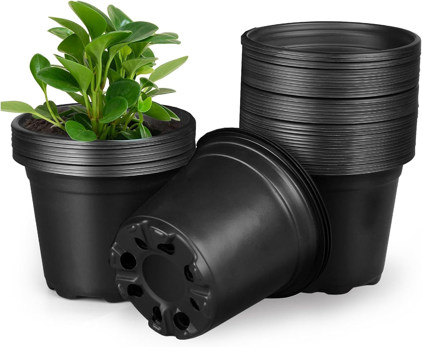 Nursery Pots - 110 Pack Plastic Plant Pots with Drainage Holes | 4, 5, 6 Inch Seedling Starter Pots for Succulents