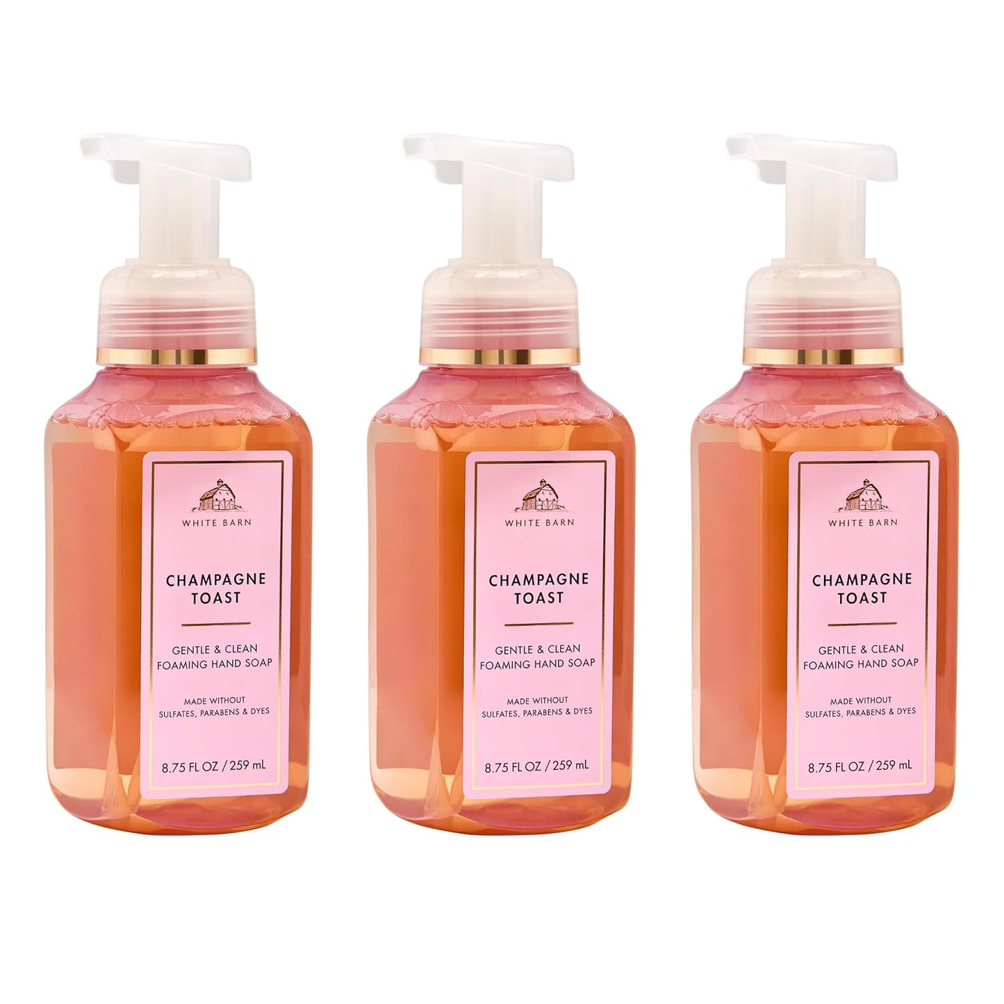 Crisp Morning Air Foaming Hand Soap - Germ-Cleansing Formula | Gentle Cleansing & Conditioning - 3-Pack