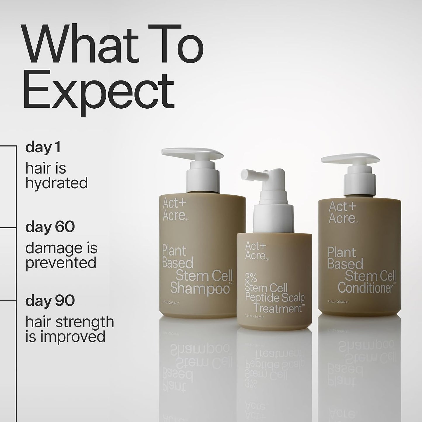 Act+Acre Stem Cell Conditioner - Strengthens & Hydrates Fine Hair | Lightweight, Vegan, Color Safe | 10 Fl Oz