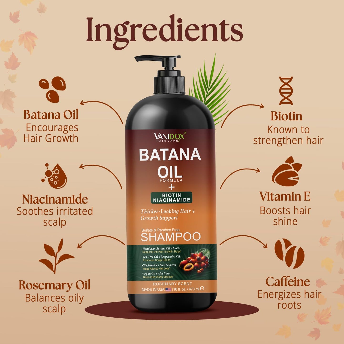 VANIDOX Batana Oil Shampoo, 16 fl oz