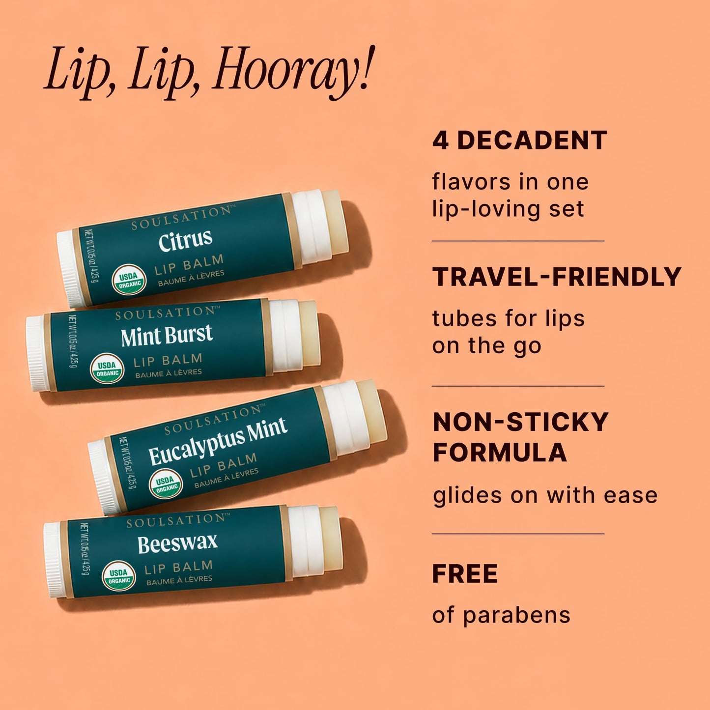 Soulsation Organic Lip Balm Set, 4 Flavors - Moisturizing for Cracked & Dry Lips