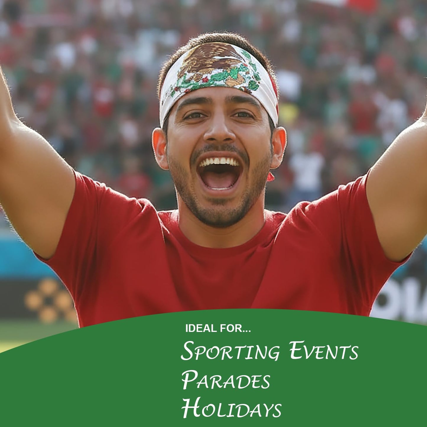 Costume Adventure Mexican Flag Bandana Mexico Flag Bandana Mexico Bandanna Headband for Men or Women - One Size