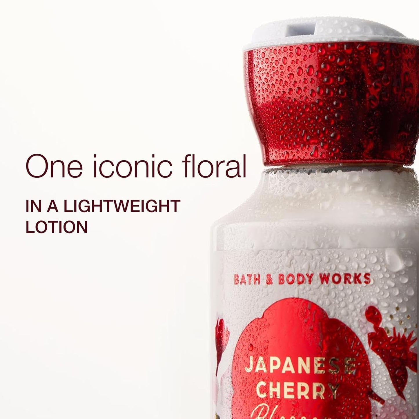 Japanese Cherry Blossom Body Lotion - Lightweight Daily Moisturizer with Shea Butter & Coconut Oil | 8 fl oz