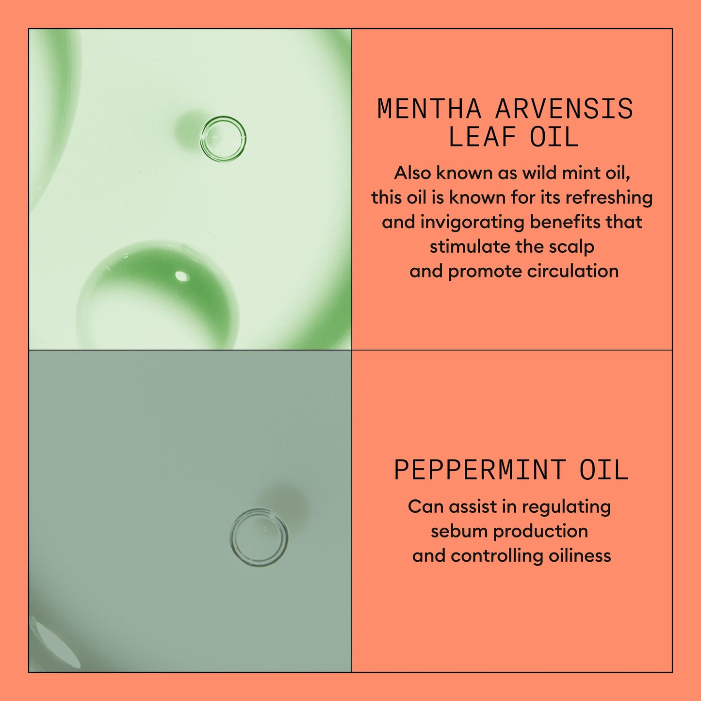 NIOXIN System 4 | Scalp Care | Thickening Conditioner | Colored Dry Hair