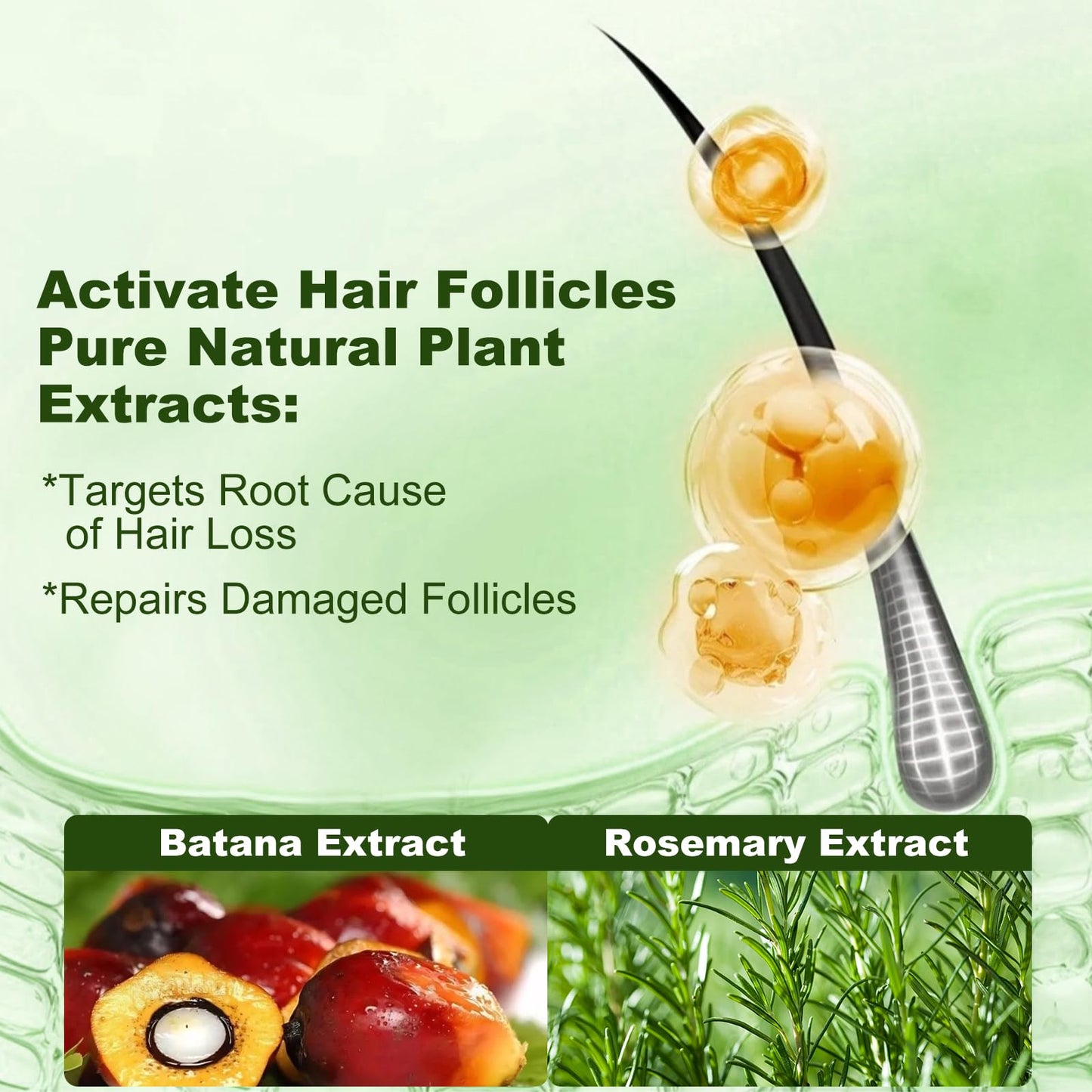 Tgideas Batana Oil Rosemary Shampoo for Hair Growth & Hair Loss, 1 Pack