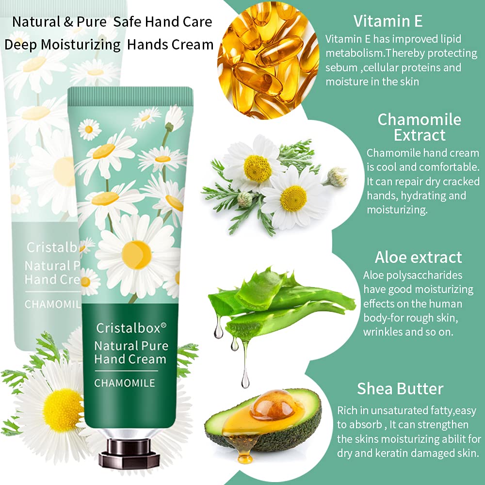Hand Lotion Gift Set - 28 Pack Natural Plant Fragrance | Perfect for Women, Teachers, and Teen Girls