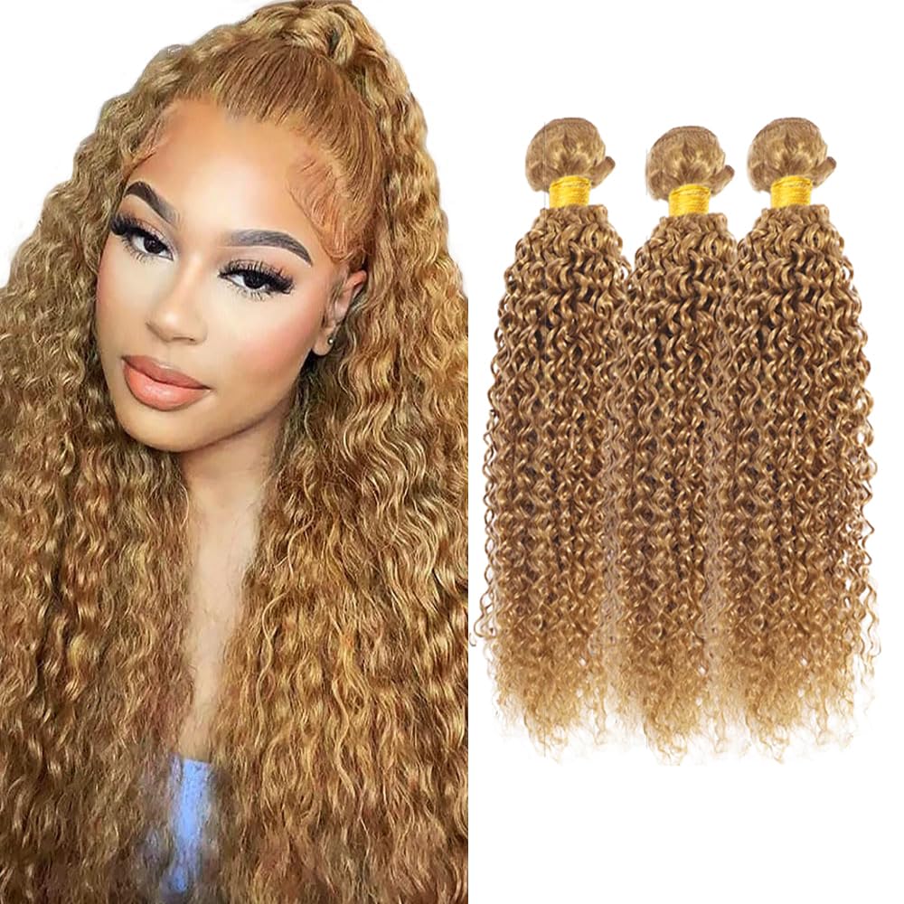 28 30 32 Inch DiexrLamx Hair Blonde Bundles Color #27 Kinky Curly Bundles Unprocessed Peruvian Virgin Hair 3 Bundles Hair Extensions 300g