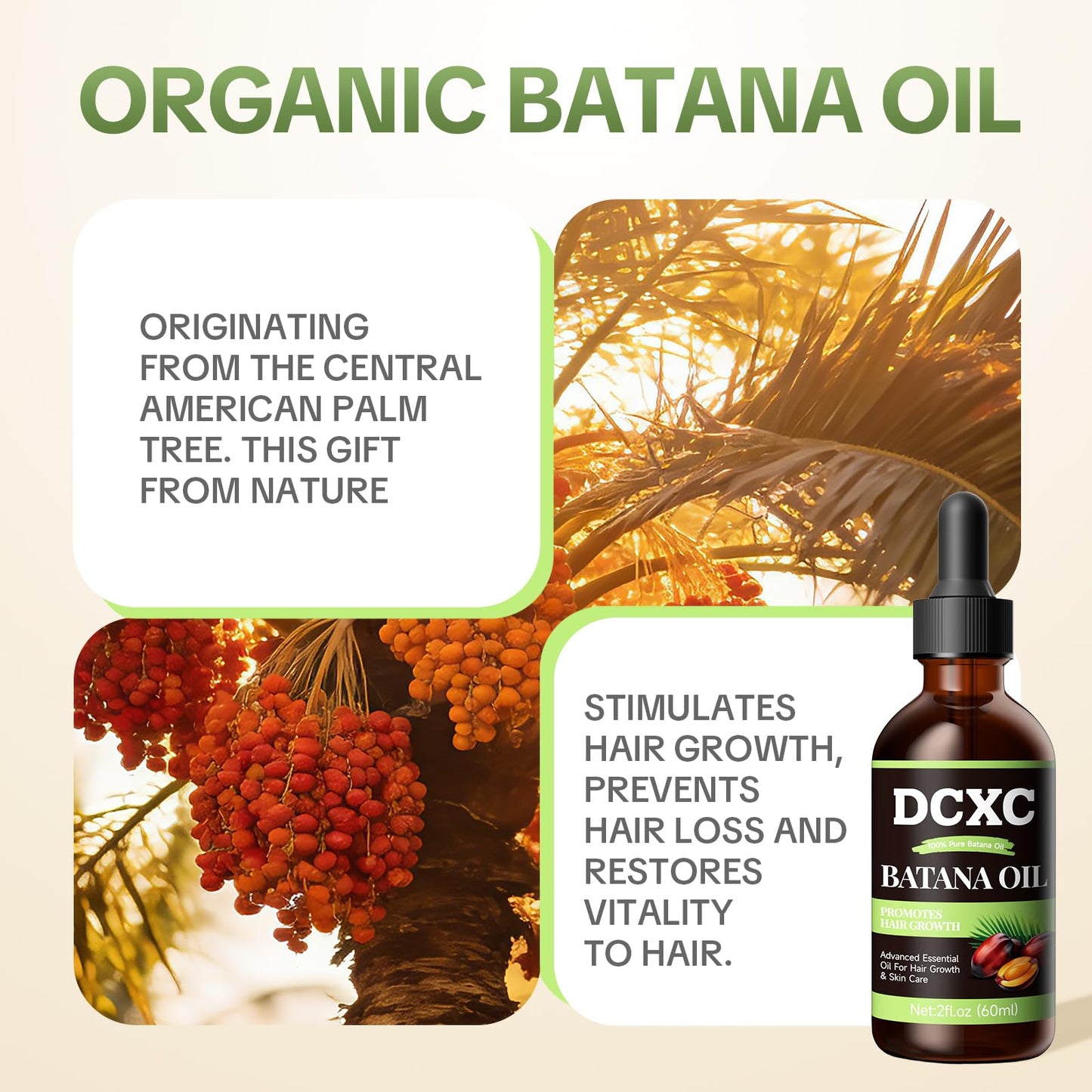 DCXC 100% Pure Batana Oil for Hair Growth - Natural Scalp Care & Hair Thickening Treatment | Revitalizes Damaged Hair, Reduces Breakage & Enhances Shine | Deep Conditioner for All Hair Types - 2oz