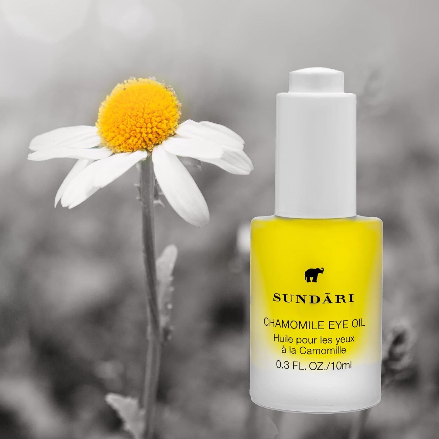 SUNDARI Chamomile Eye Oil - Soothing Hydration for Dark Circles & Puffiness