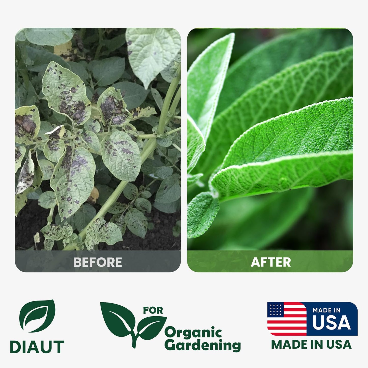 DIAUT Neem Oil Spray for Plants with Peppermint Oil, Easy Ready to Use Natural Plant Wash and Foliage Care for Indoor and Outdoor Plants, Gardens, Houseplants & Vegetables, 16 oz