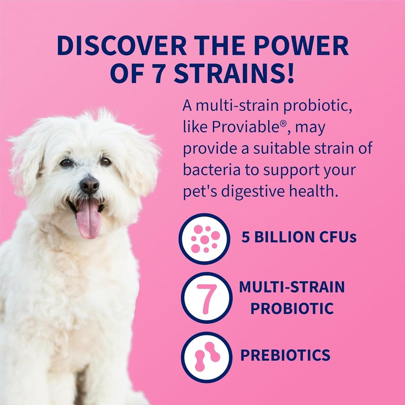 Nutramax Proviable Probiotics for Dogs & Cats - Daily Digestive Health Supplement with Prebiotics | 30 Capsules