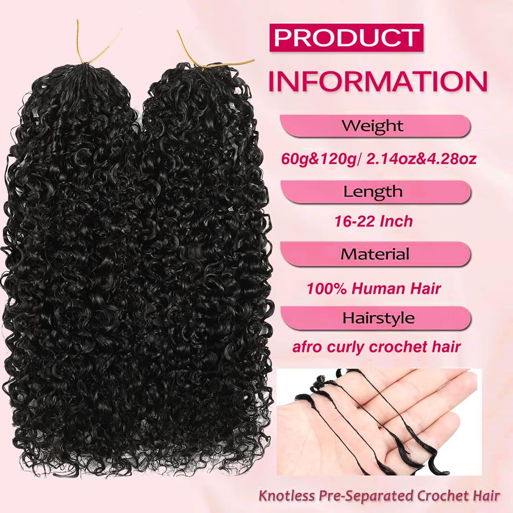 Beafay Afro Kinky Curly Human Crochet Hair 20inch 60g Knotless Pre-Separated Feather Crochet Real Human Hair Afro Kinky Burmese Curly Crochet Lightweight Reusable Remy Hair Extensions for Women