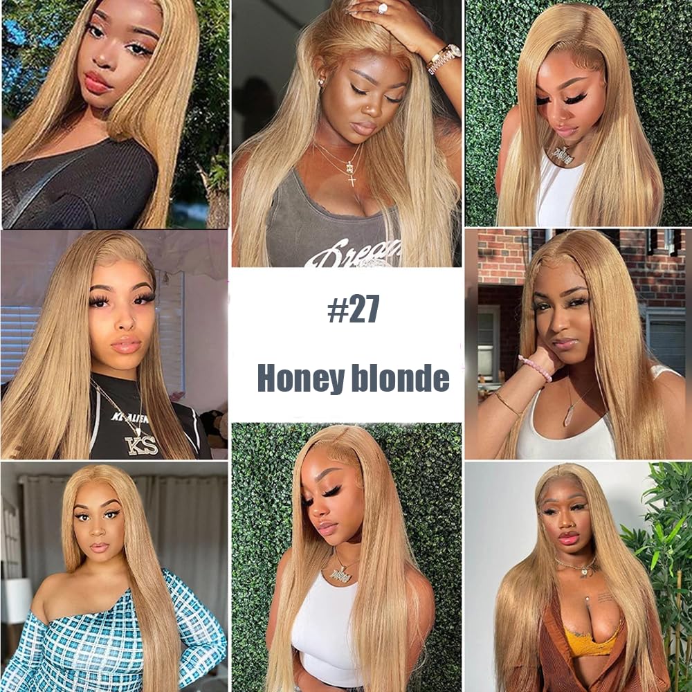 Clip in Hair Extensions Real Human Hair #27 Blonde, 20 Inch 120g/7Pcs,Full Shine Remy Human Hair,Honey Blonde Straight Clip ins Brazilian Virgin Human Hair Extensions