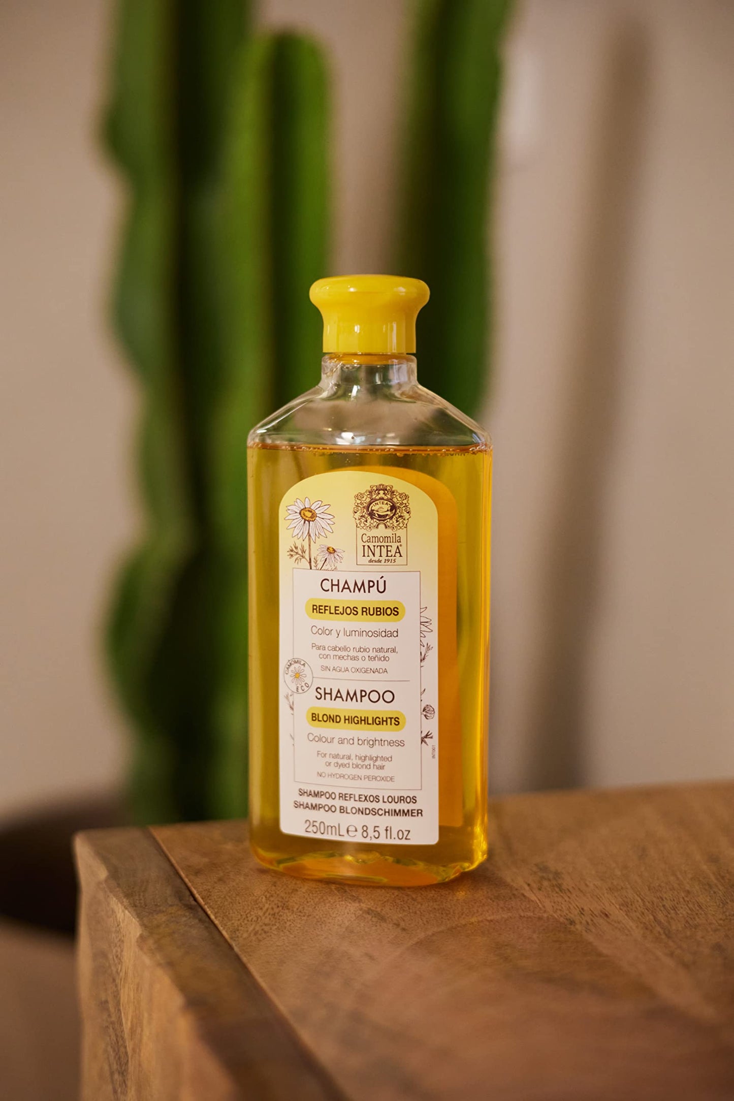 Intea Chamomile Shampoo - Premium Blonde Brightening Shampoo - Non-Ammonia, Easy Application for Natural or Dyed Hair - 8.5oz