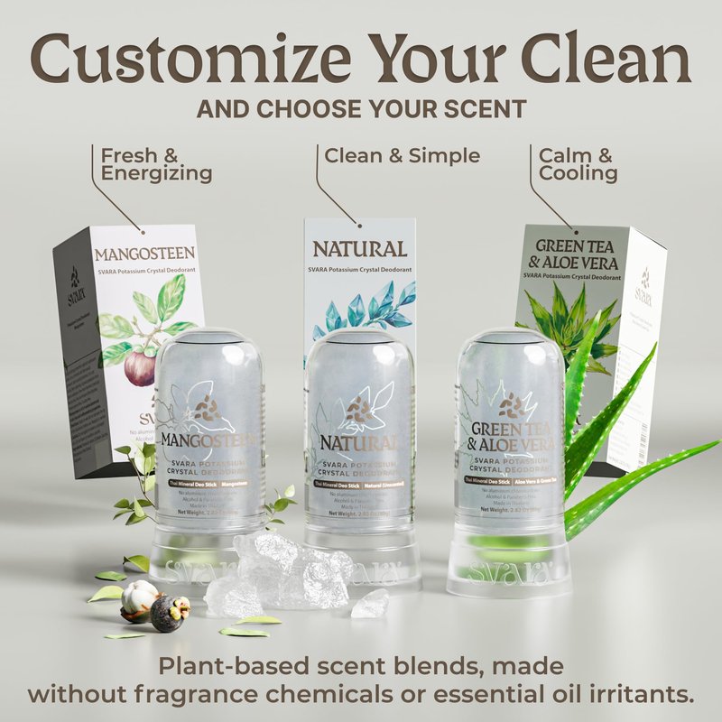 SVARA Natural Alum Crystal Deodorant Stick for Women & Men – Potassium Alum Stone for Odor Control,Non-Sticky Mineral Rock Design for Daily Freshness & Easy Application–Green Tea & Aloe Vera (2.82Oz)