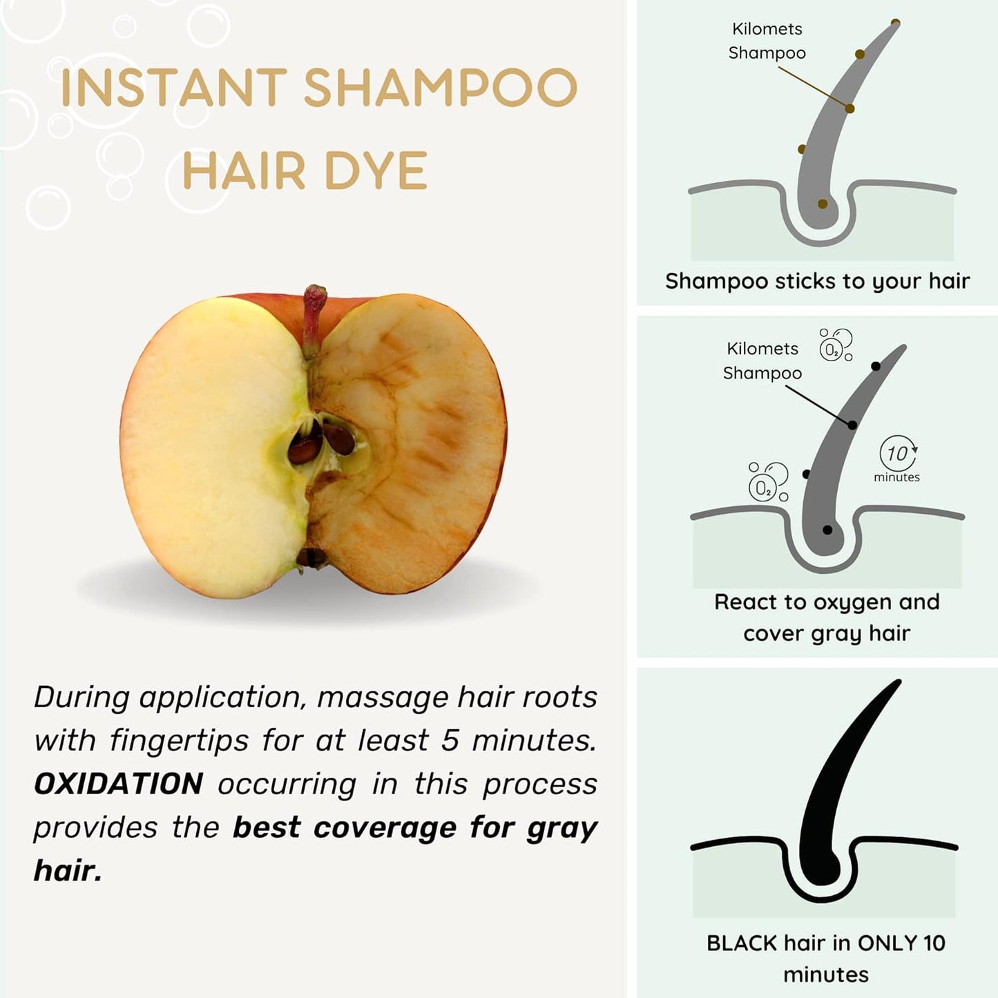 Black Hair Dye Shampoo - 100% Grey Coverage, Ammonia-Free Formula | 400ml Instant Darkening Color for Silver Hair