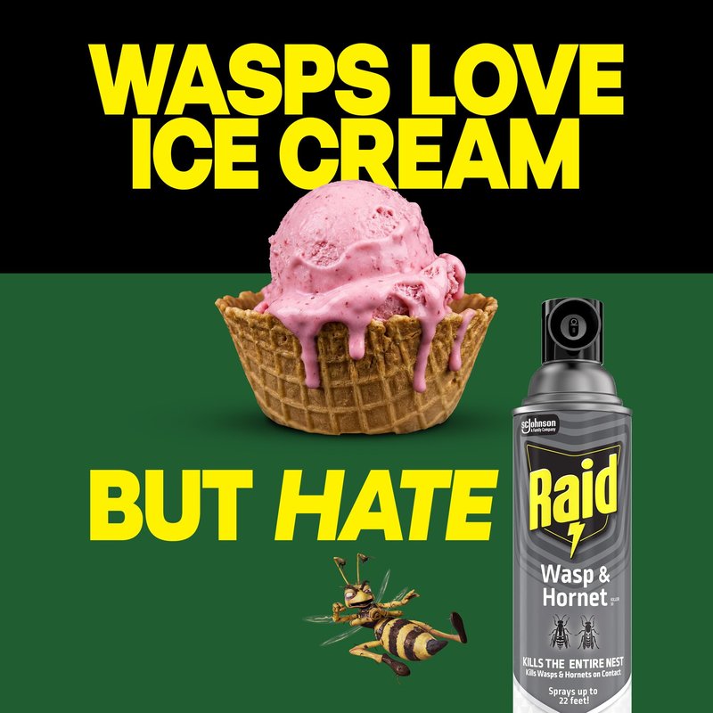 Raid Wasp & Hornet Killer Spray, Kills the Entire Nest, For Paper Wasps, Yellow Jackets, Mud Daubers and more, 14 oz (Pack of 2)