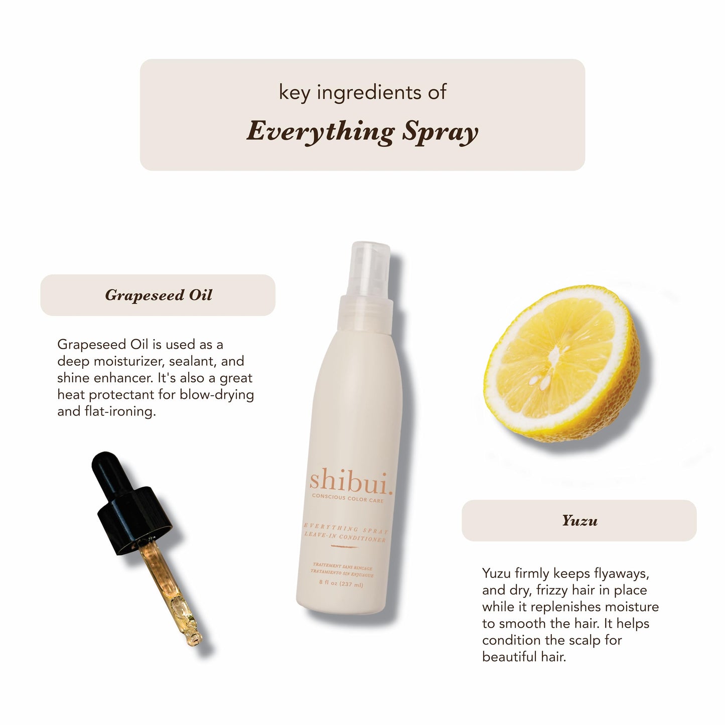 Shibui Everything Spray, Color Protecting Leave-in Treatment, Detangles & Fights Frizz, for Fine to Medium Hair, Vegan & Sulfate-Free, 8 Fl Oz