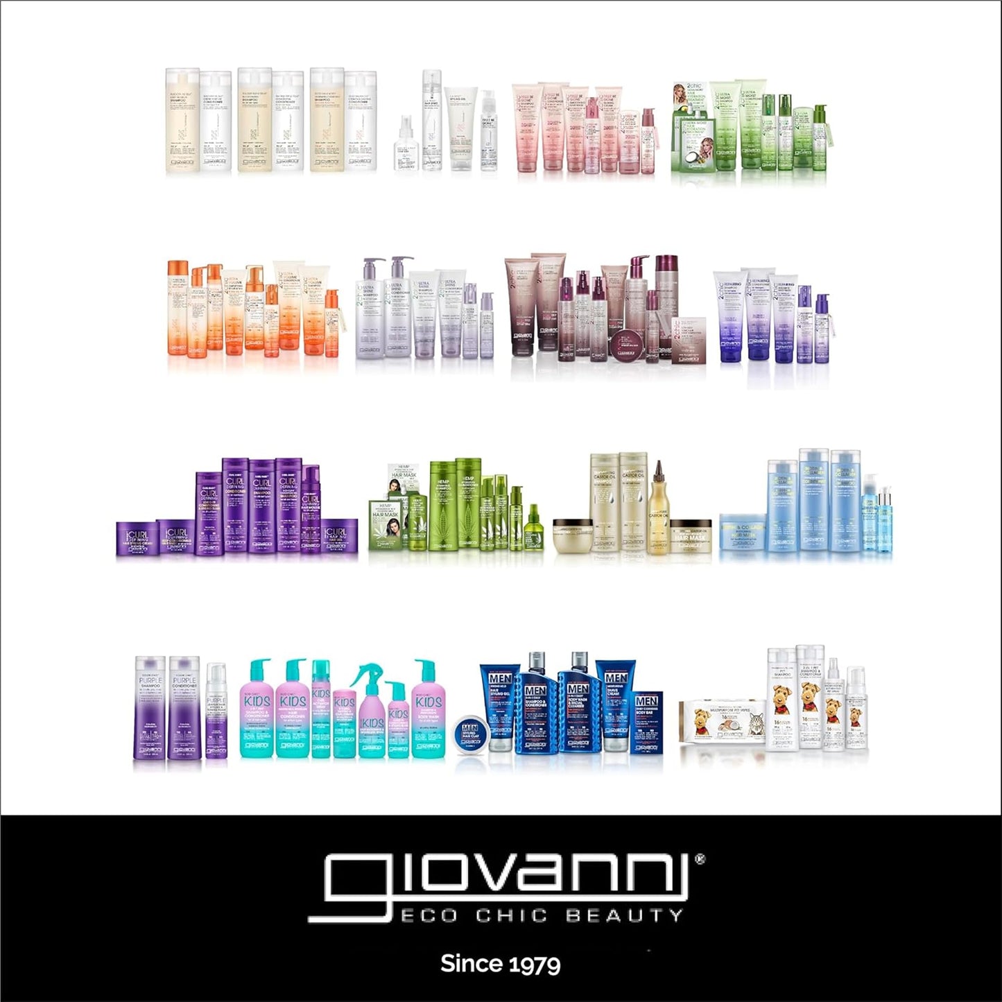GIOVANNI ECO CHIC Frizz Be Gone - Super Smoothing Anti-Frizz Hair Serum, Adds Shine, Seals in Color, Infused with Natural Botanical Ingredients, Salon Quality, No Parabens - 2.75 oz (1 Pack)